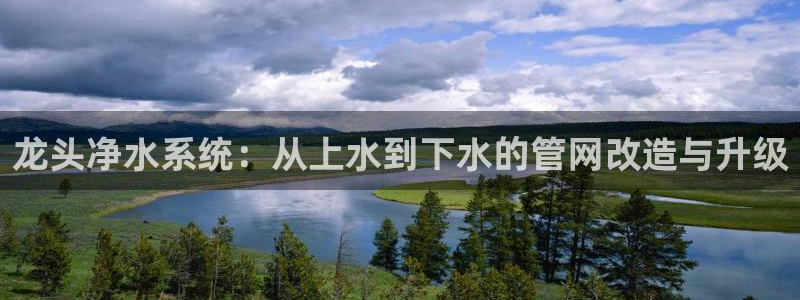 威九国际top