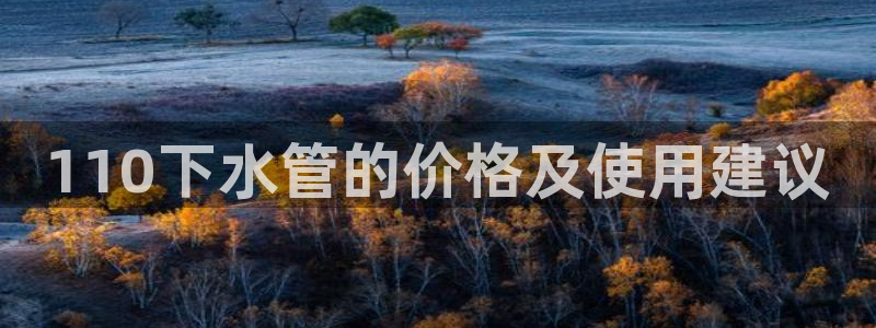 威九国际app