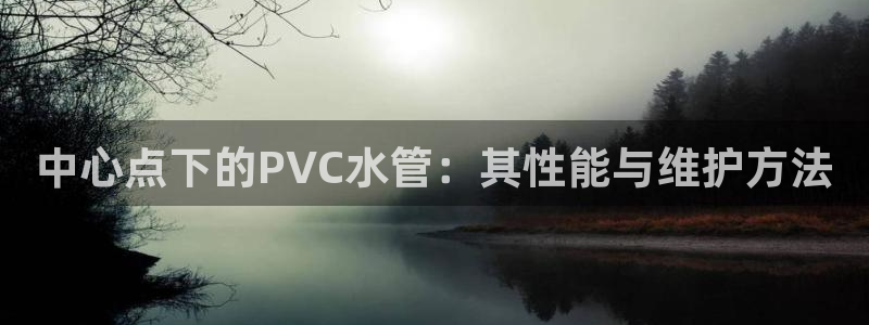 威九国际78m小说