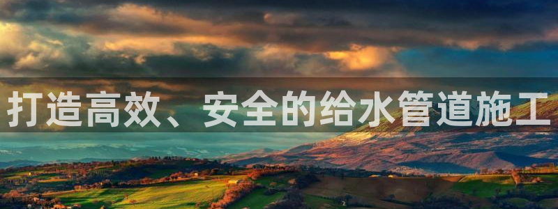 威九国际