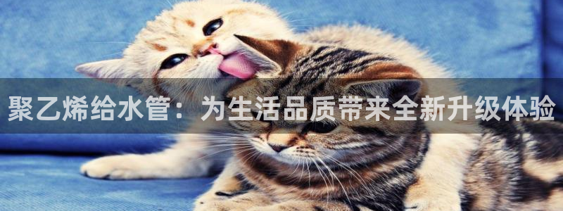威九国际网站进入(中国)有限公司-官网