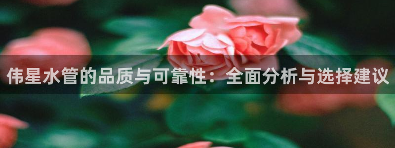 威九国际客服电话人工服务