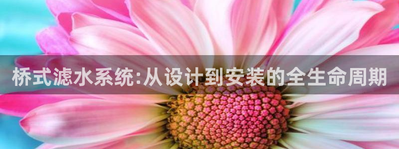 威九国际mv