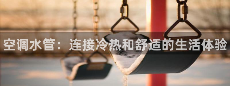 威九国际男主