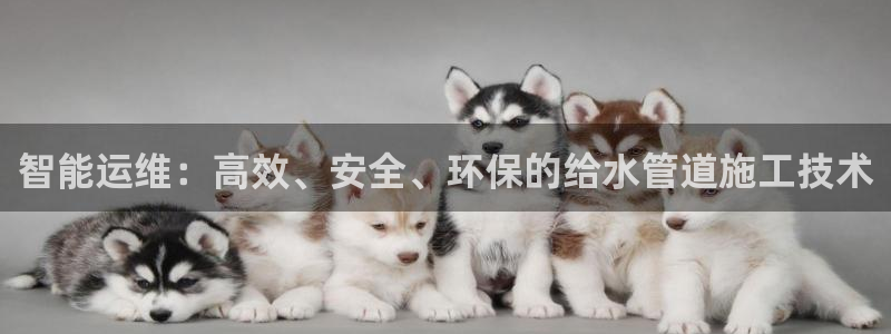 威九国际网站安全吗可靠吗