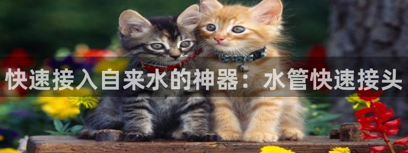 威九国际66在线