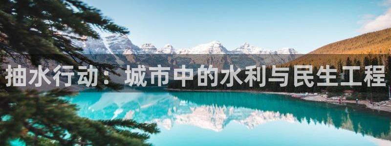 威九国际服