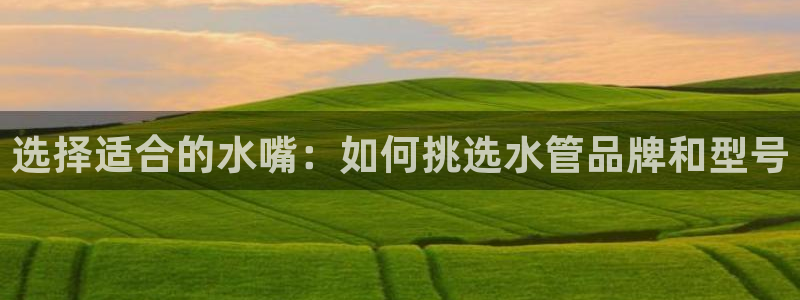 威九国际78cm