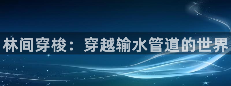 威九国际ppt官网