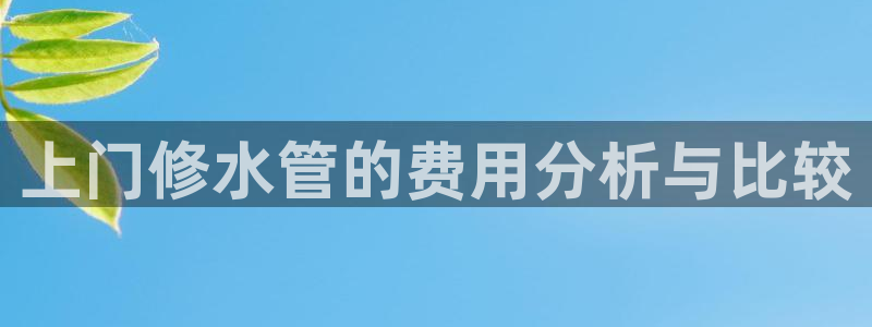 威九国际78