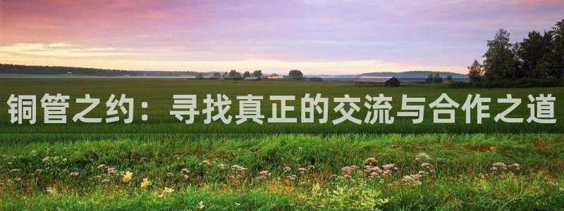 威九国际人民网招聘