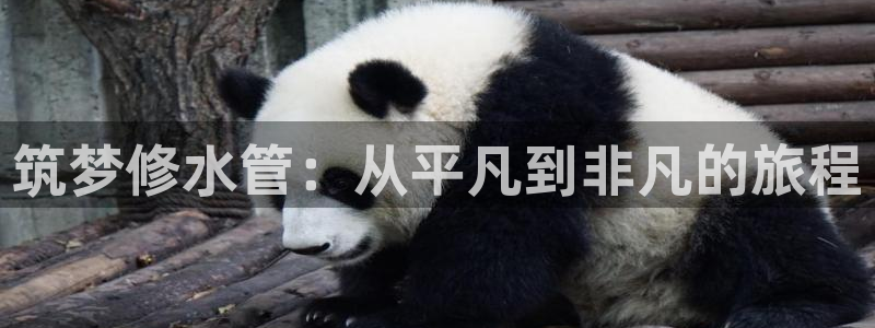 威九国际真人玩家在线对战