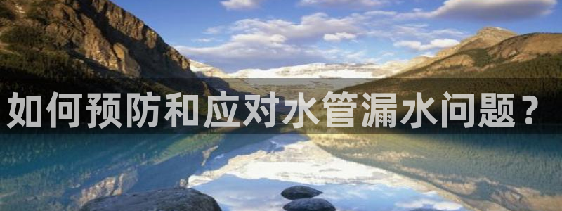 威九国际FT