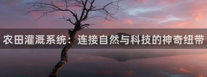 威九国际66m官网版