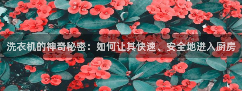 威九国际软件公司简介