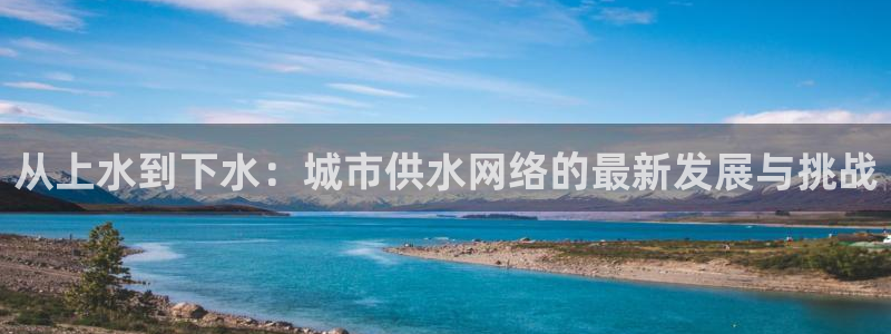 保定威九网络科技有限公司电话