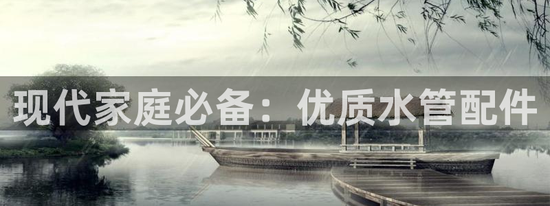 威九国际fX8x