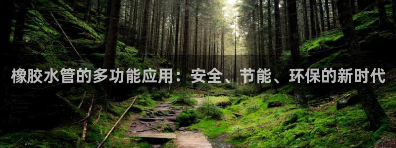 威九国际取款多到账