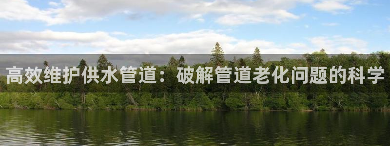 威九国际APP