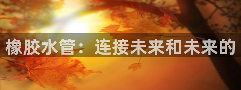 威九国际66