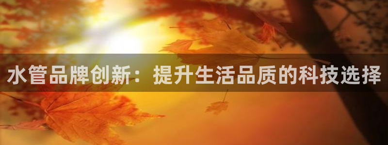 威九国际APP大全