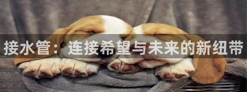 威九国际摩托电影HD