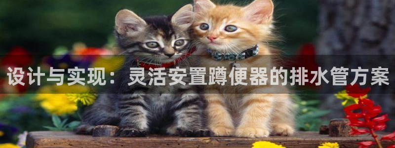 威九国际官方入口