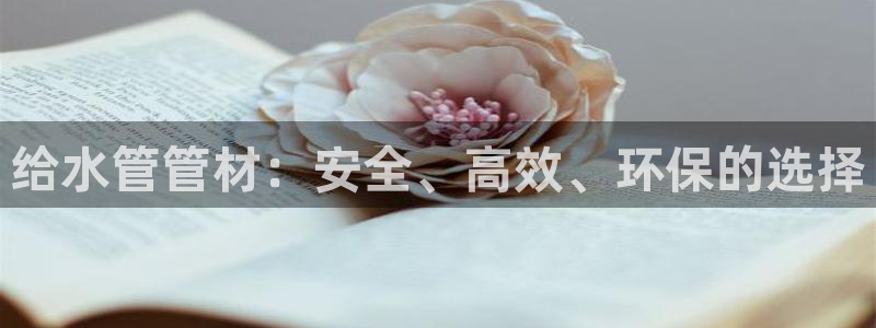 威九国际后爸