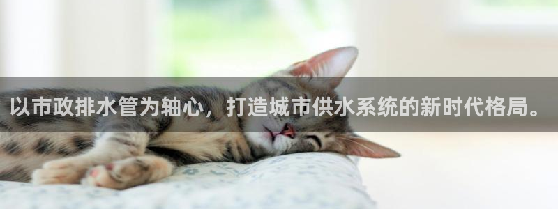 威九国际78m78下载