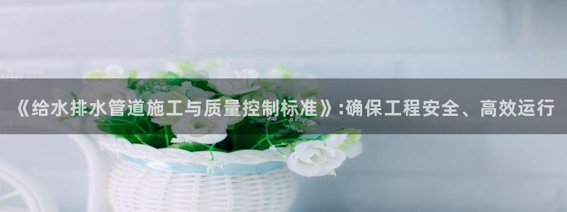 威九国际全国空降