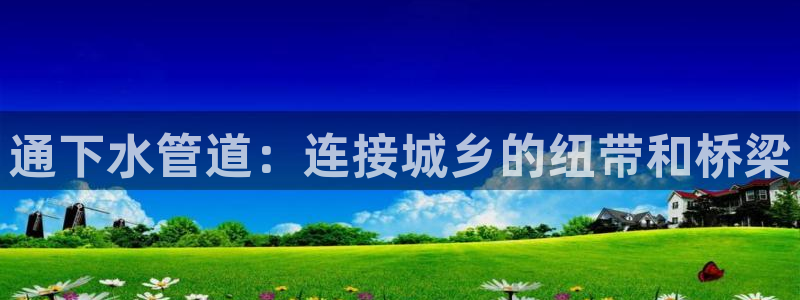 威九国际66m-66