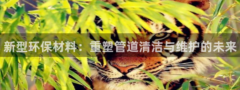 威九国际66m66m电影
