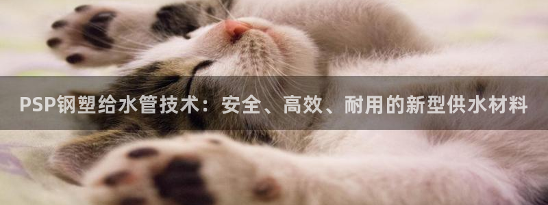 威九国际网站经常打不开