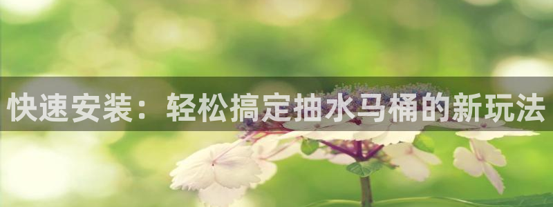 保定威九网络科技有限公司怎么样