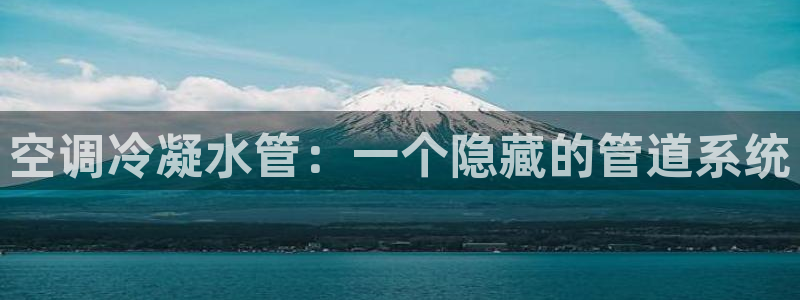 威九国际留学