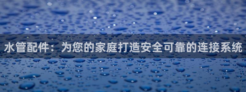 威九国际的演员