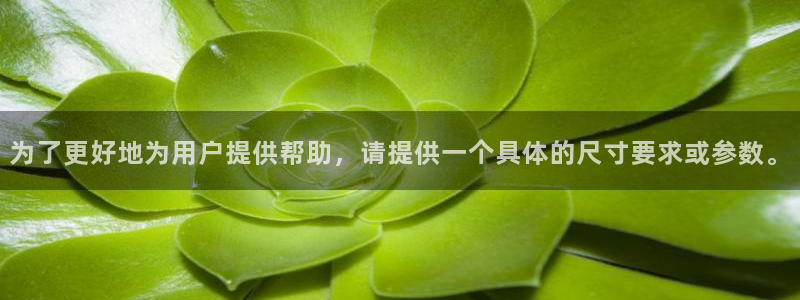 威九国际FF