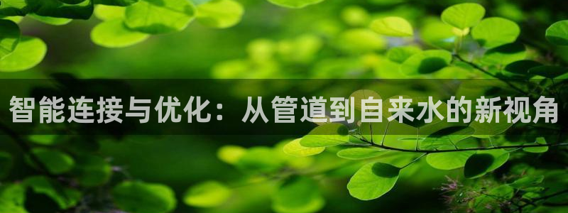威九国际78mob游戏特色