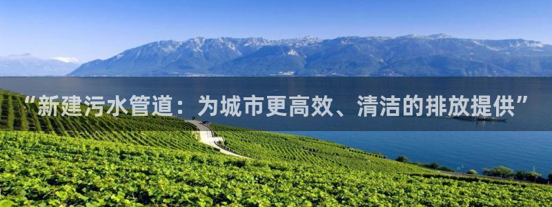 威九国际官网登录入口网址