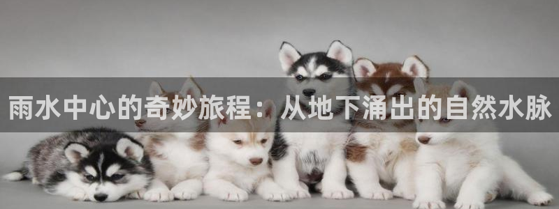 威九国际网站下载