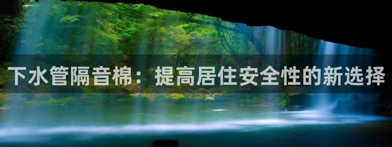 威九国际替好友去