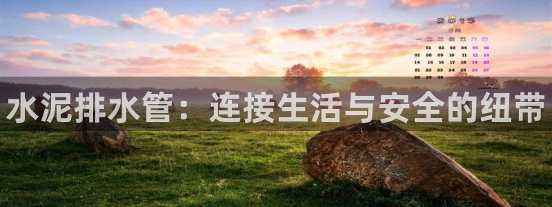 威九国际成长模式怎么样