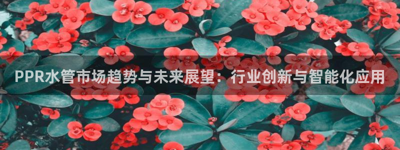 威九国际入囗