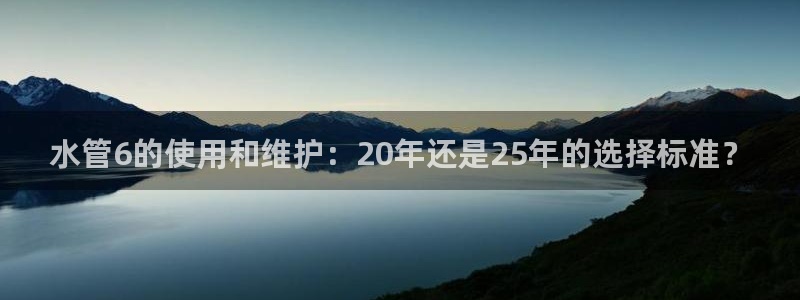 威九国际APP下载