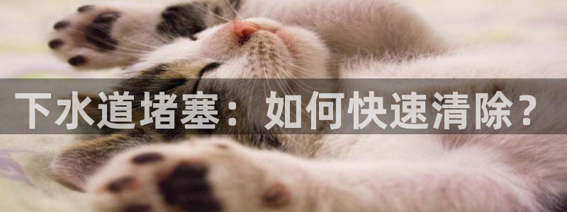 威九国际成长模式怎么样