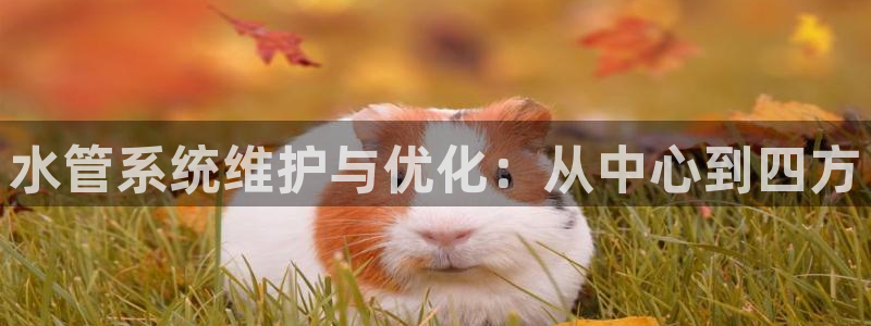 威九国际新人白发