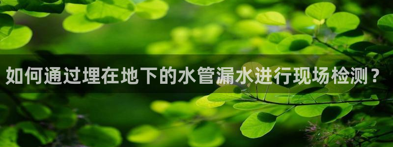 威九国际人民网招聘