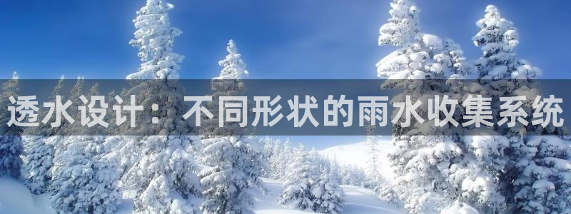 威九国际78免下载