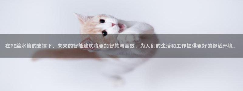 威九国际网站经常打不开