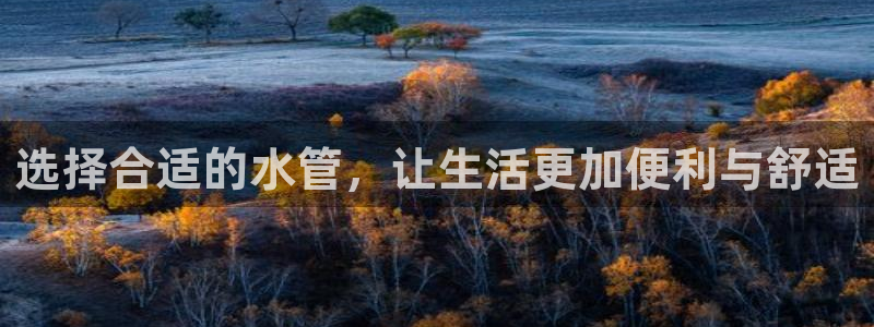 66m威九国际成长模式